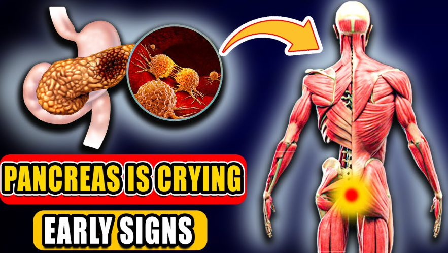 “Final Warning” — 3 Sneaky Signs Your Pancreas Is Crying for Help